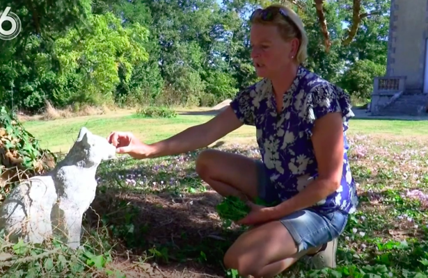 Erica Chateau Meiland